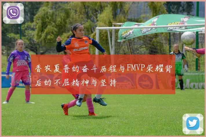 香农夏普的奋斗历程与FMVP荣耀背后的不屈精神与坚持