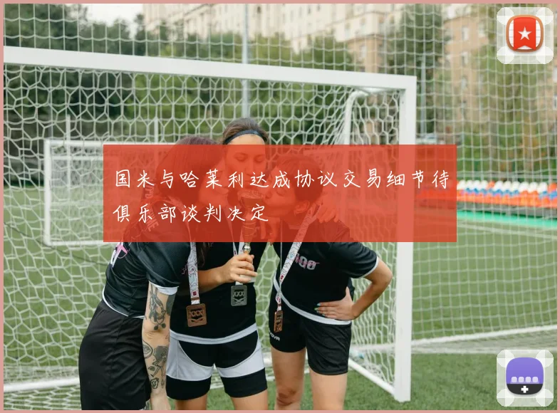 国米与哈莱利达成协议交易细节待俱乐部谈判决定