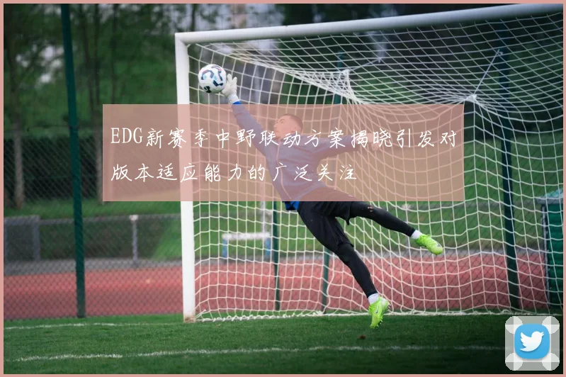 EDG新赛季中野联动方案揭晓引发对版本适应能力的广泛关注